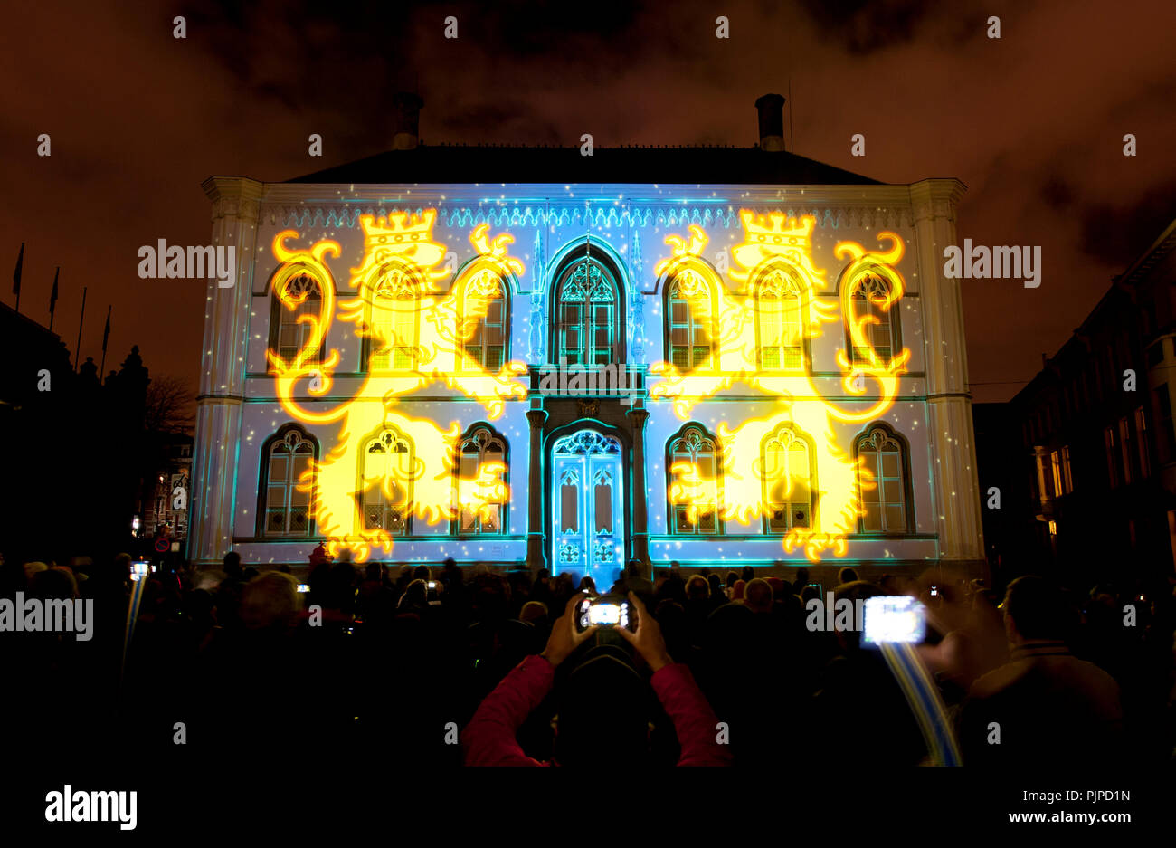 La Horta installazione da Theoriz presso il Festival di luce 2015 a Gand (Belgio, 31/01/2015) Foto Stock