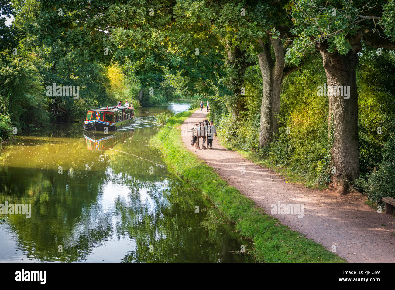 "Tivertonian', l'ultimo a cavalli da includersi nel West Country, set off per un altro viaggio sereno verso il basso il Grand Canal occidentale vicino a Tiverton in Devon. Foto Stock