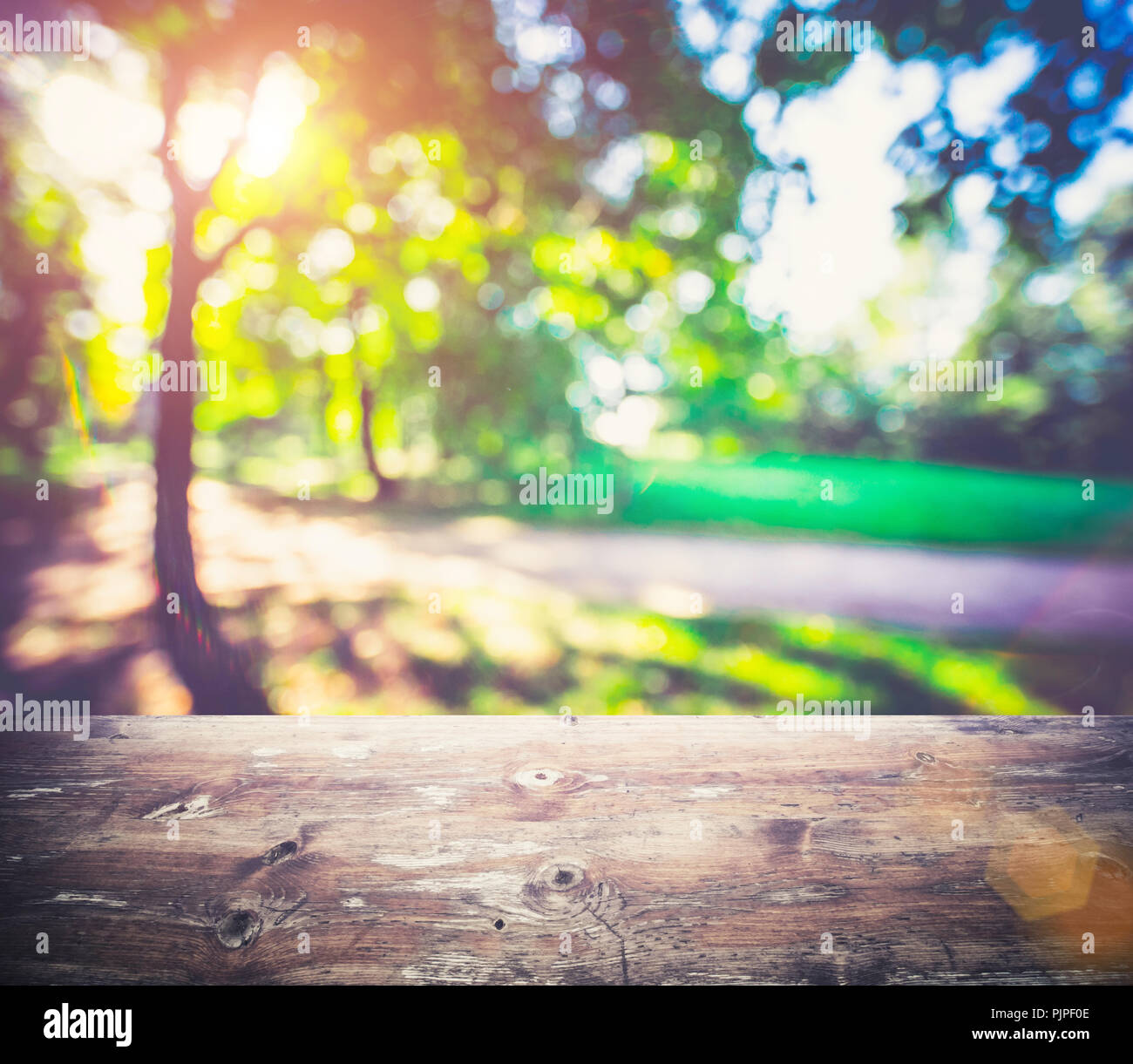 Park all'aperto la sfocatura dello sfondo. Estate bokeh mattina Foto Stock