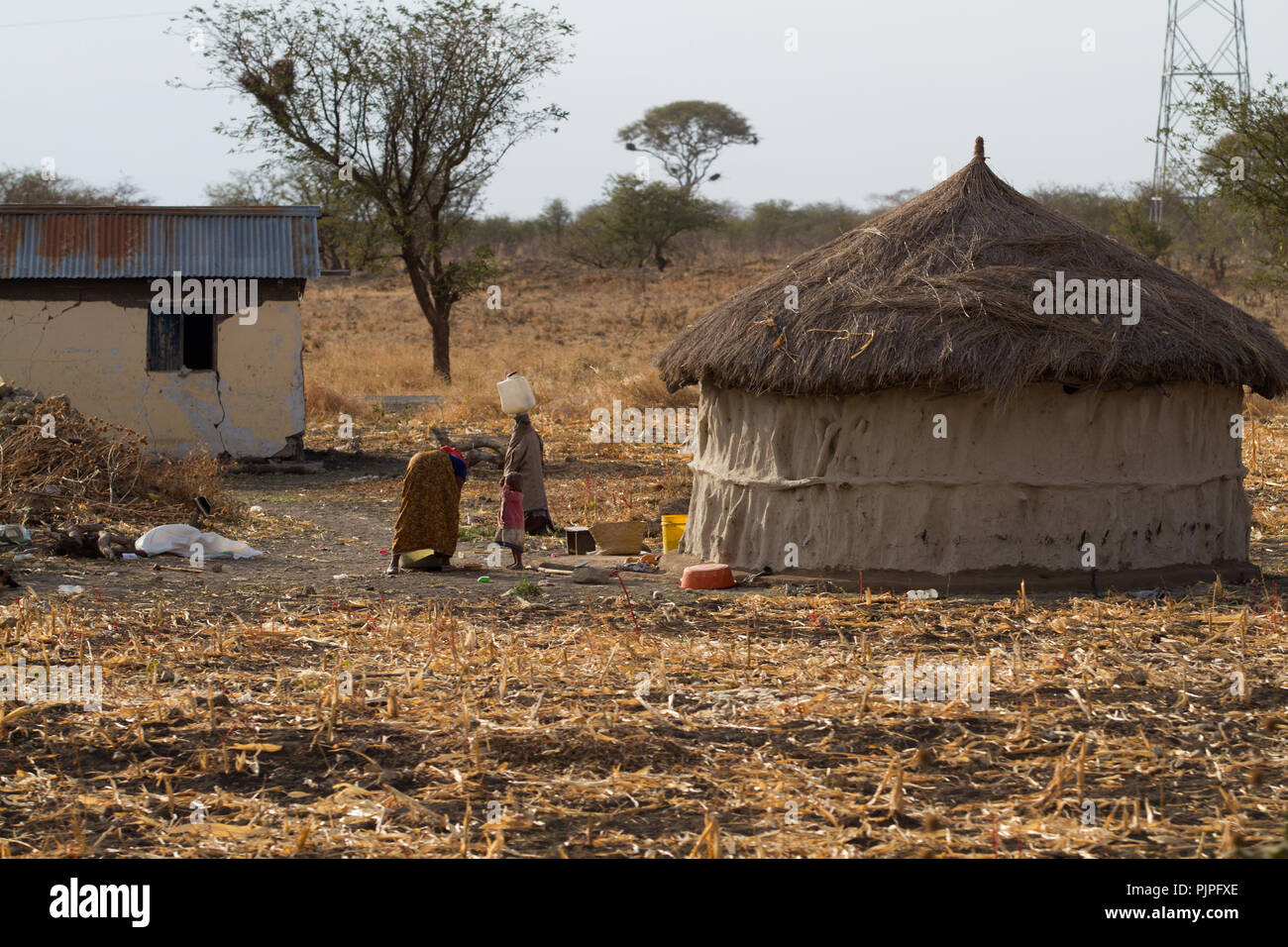 Masai persone la vita nei pressi di Arusha Foto Stock