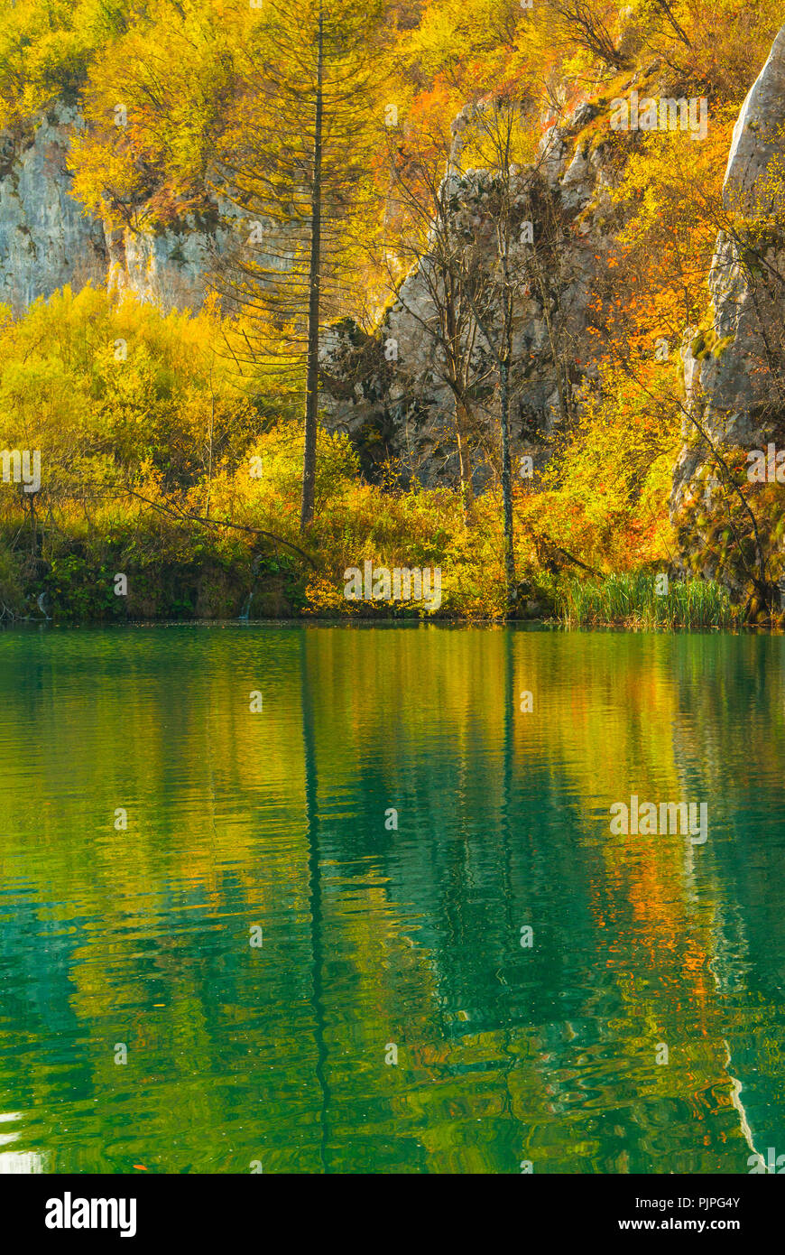 La riflessione sulla superficie di acqua sul Parco Nazionale dei Laghi di Plitvice in Croazia in autunno Foto Stock