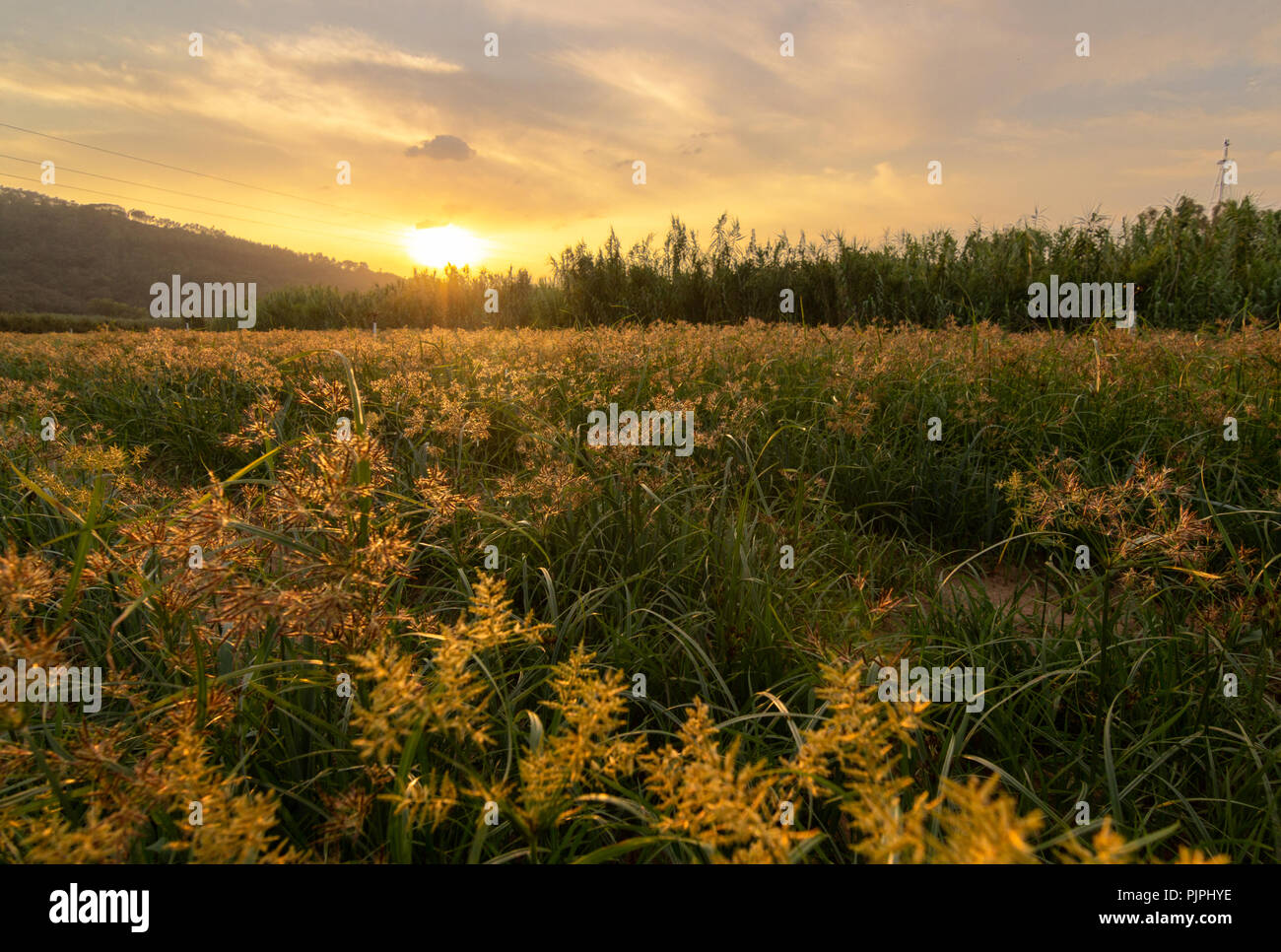 Un bellissimo tramonto su Valado dos Frades, Portogallo. Foto Stock