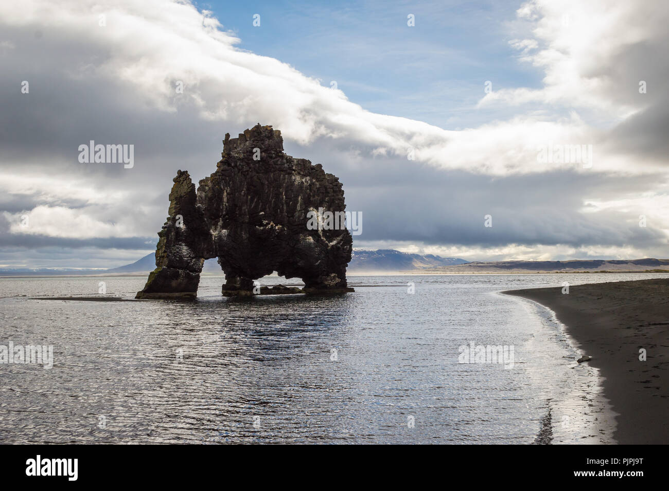 Troll Hvitserkur rock, è una alta 15 metri stack di basalto si trova a poca distanza dalla riva del nord-ovest dell'Islanda. La pila ha l'aspetto di un drago, o eleph Foto Stock