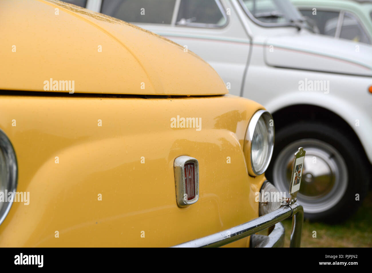 Line-up di classic Fiat 500 autovetture Foto Stock