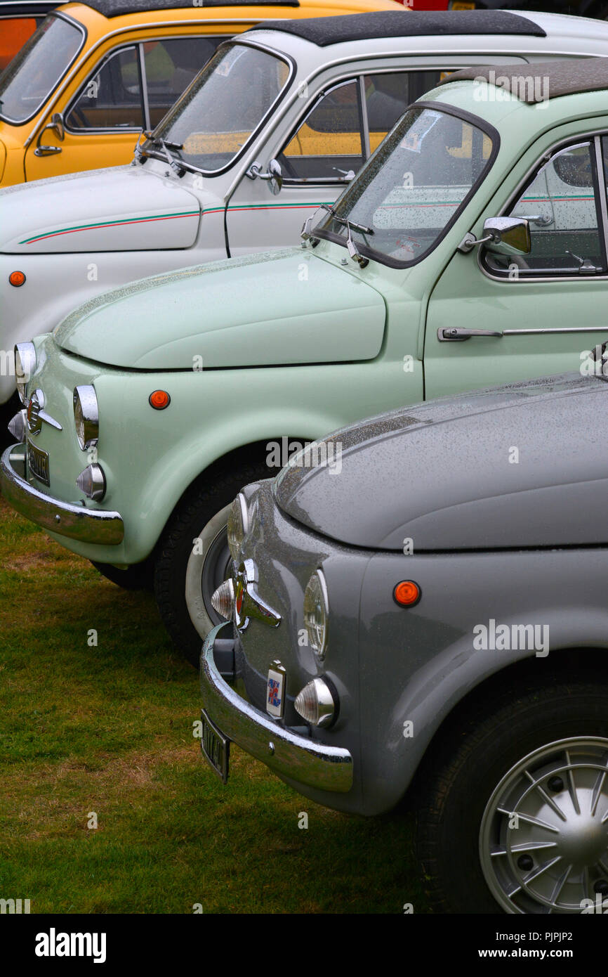 Line-up di classic Fiat 500 autovetture Foto Stock