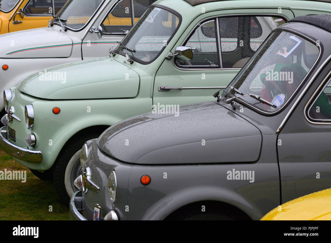 Line-up di classic Fiat 500 autovetture Foto Stock