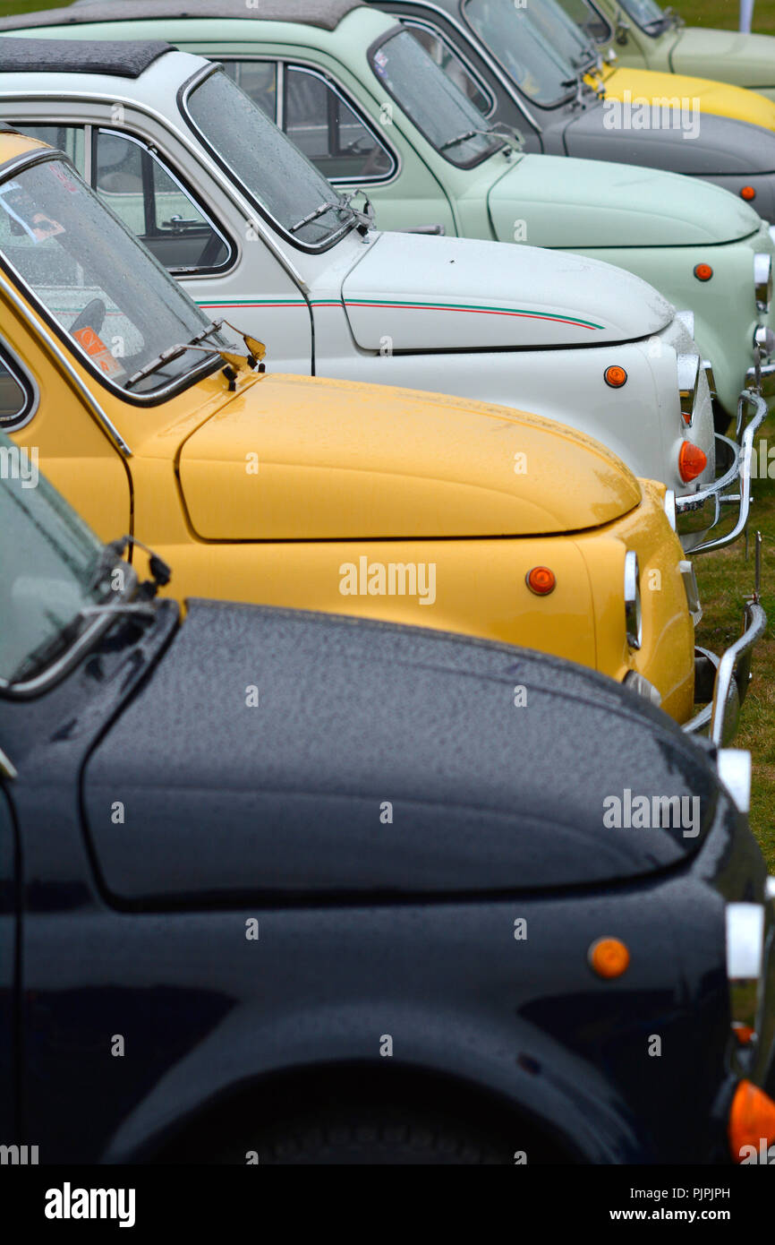 Line-up di classic Fiat 500 autovetture Foto Stock