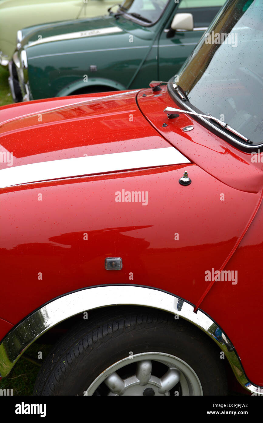 Vicino la fotografia di un classico Mini auto Foto Stock