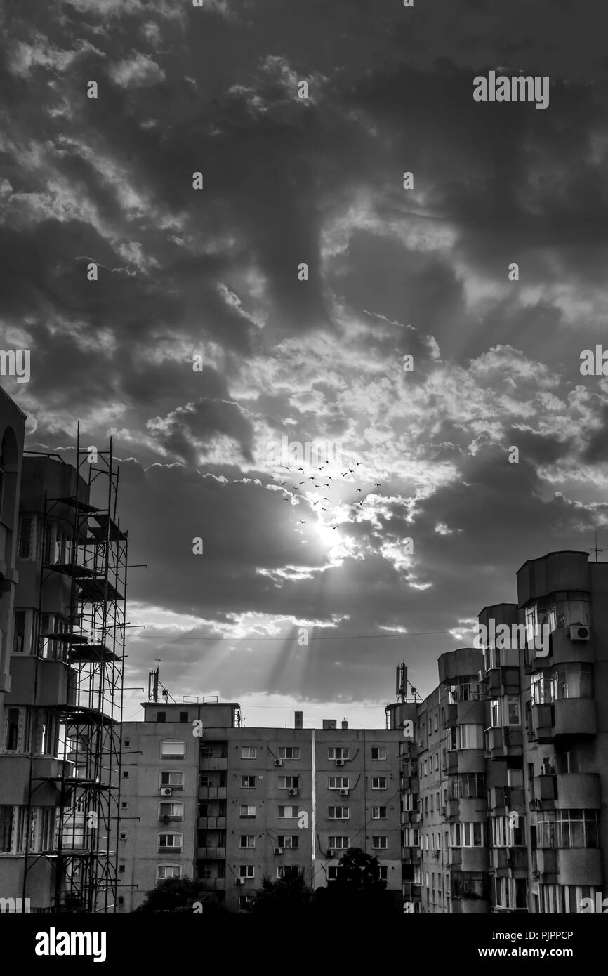 Città di alba con gli uccelli in volo l'orizzonte Foto Stock