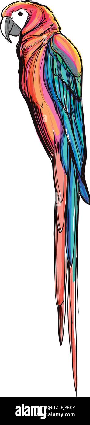 Disegnato a mano digitale vettoriale illustrazione di un colorato macaw bird Illustrazione Vettoriale