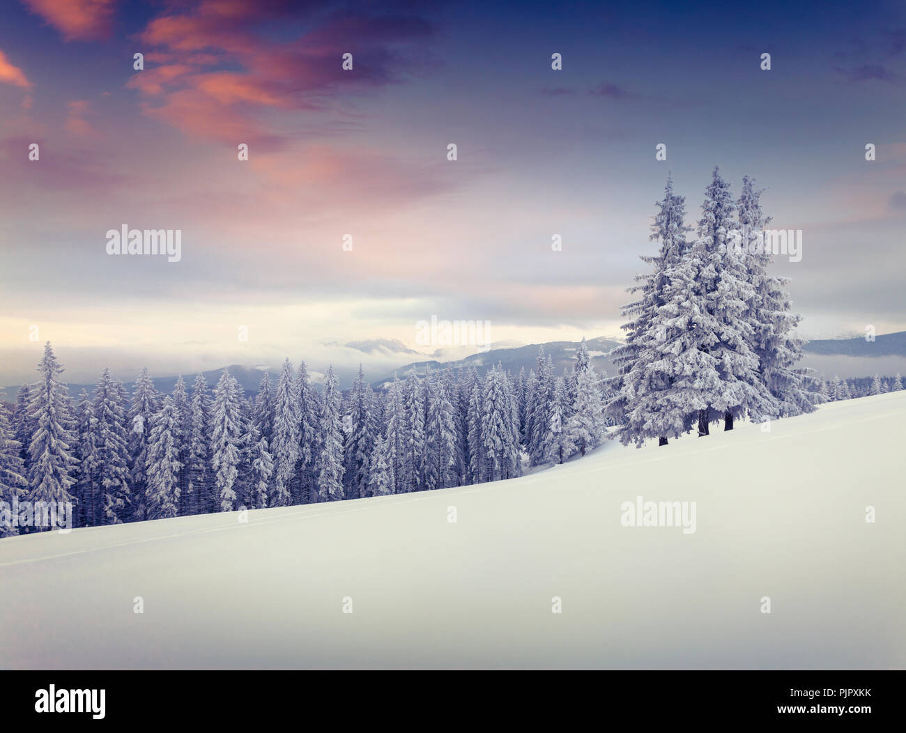 Bellissima alba invernale in montagna. Foto Stock