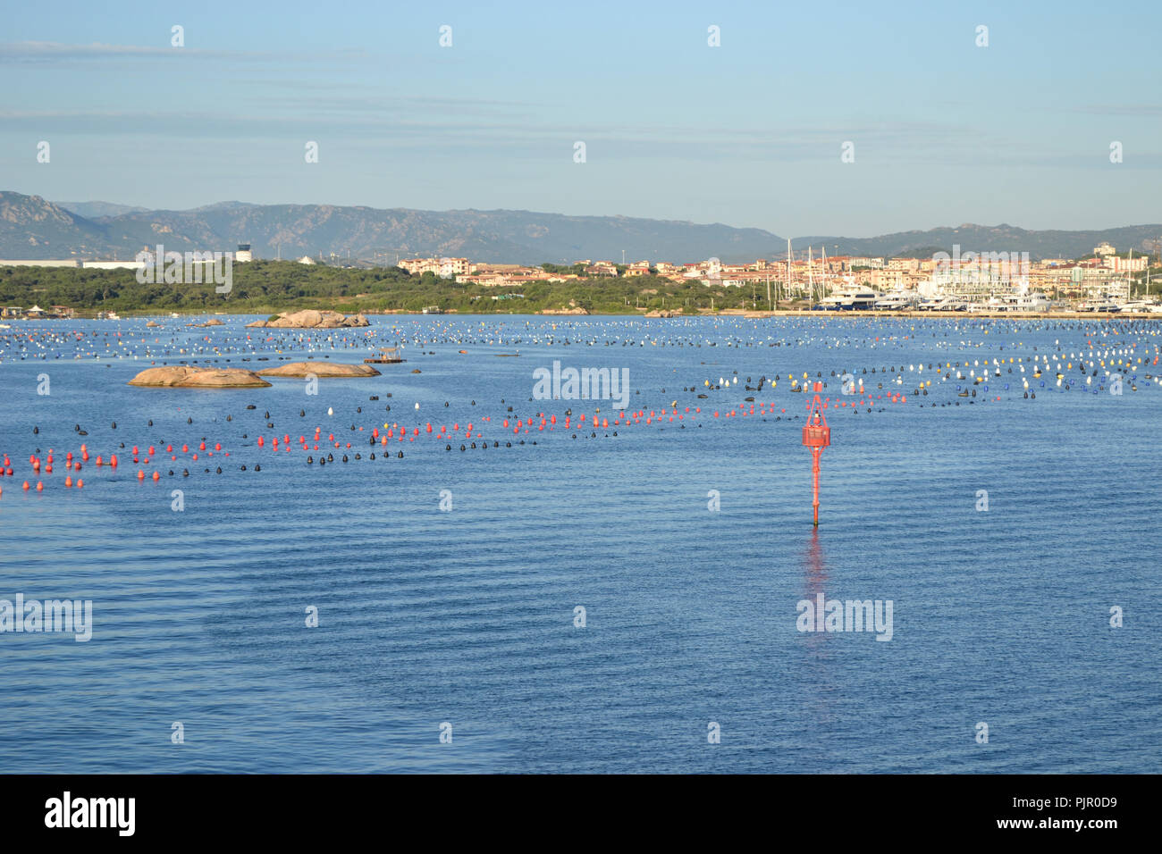 Vista del porto di Olbia dalla nave da crociera, l'isola di Sardegna Foto Stock