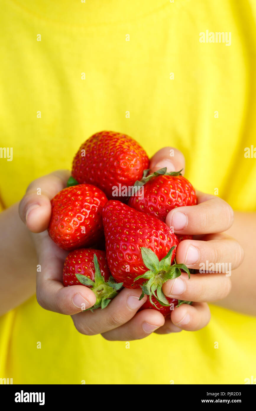 Le fragole di bacche Fragole frutta frutti di bosco estate mani bambino kid little boy formato ritratto outdoor Foto Stock