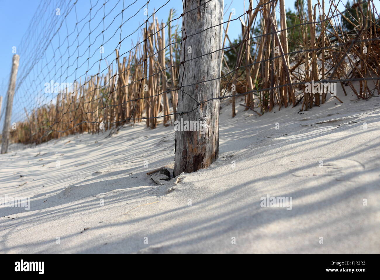 Recinto di filo di protezione zona di dune di sabbia e vegetazione Foto Stock