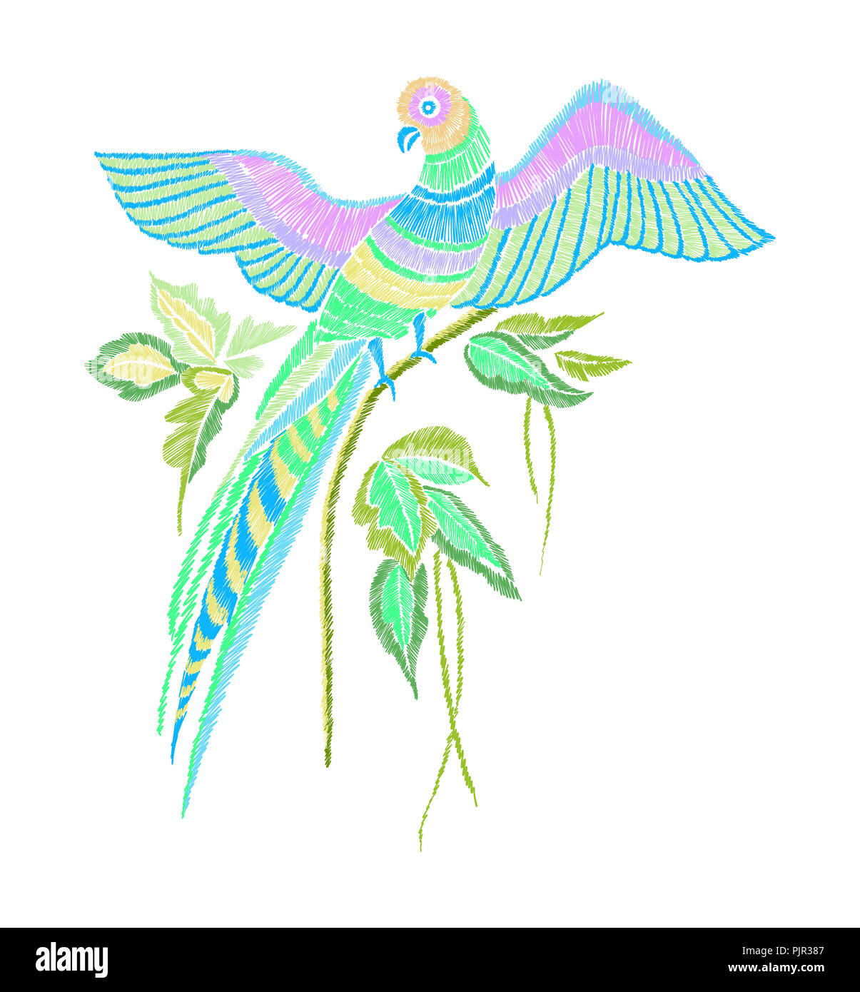Modello di ricamo con pappagallo e foglie tropicali. Illustrazione Vettoriale disegnato a mano. T-shirt print design. Foto Stock