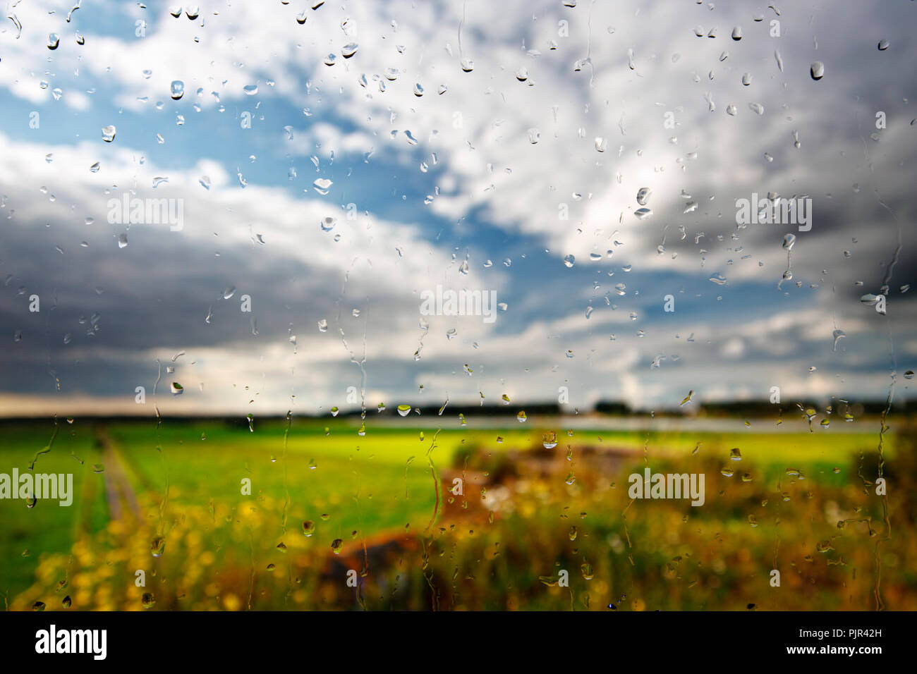 Verde paesaggio poco dopo la pioggia, visibile attraverso una finestra ancora coperto con gocce di pioggia. Foto Stock