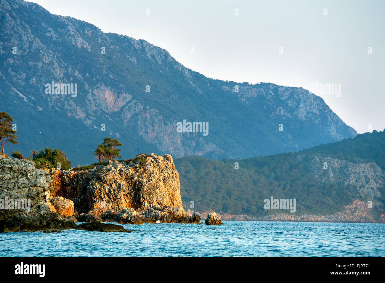 Un piccolo albero di roccia e rabboccato scogliera illuminata di golden ora lungo la costa meridionale della Turchia. Foto Stock