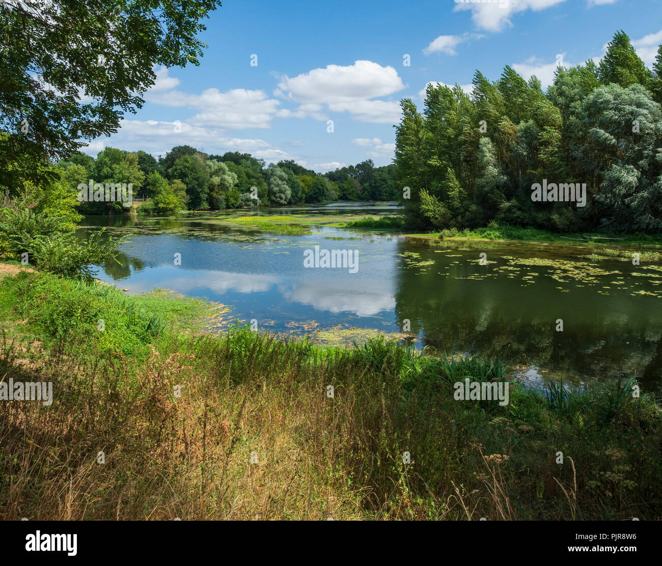 Il fiume Cher, Preuilly, Berry, Francia Foto Stock