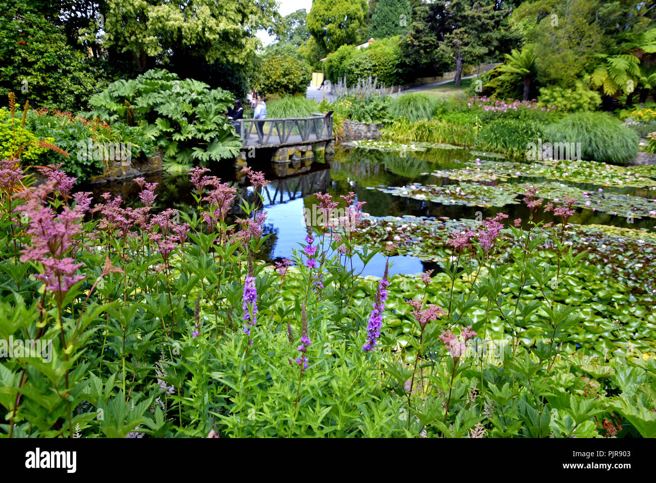 Giardino a piedi attorno a modo stagno Foto Stock