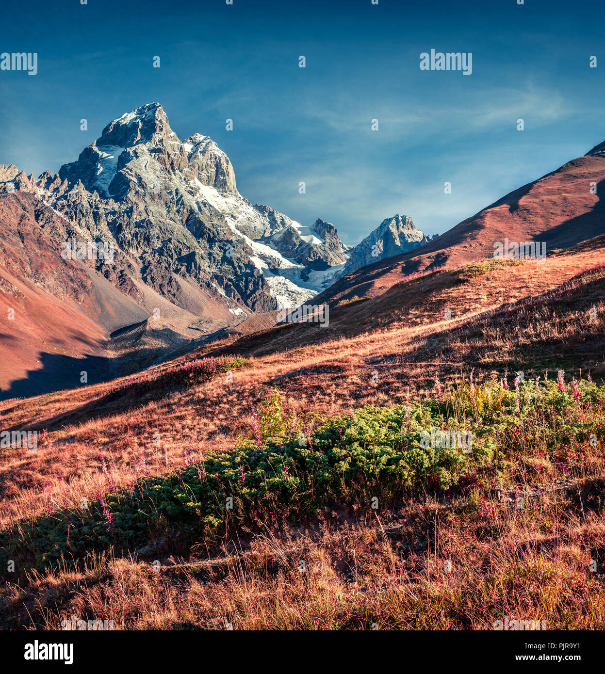 Colori d'autunno mattina nelle montagne del Caucaso. Svaneti superiore, Caucaso principale ridge, Georgia, l'Europa. Instagram tonificante. Ottobre 2015. Foto Stock