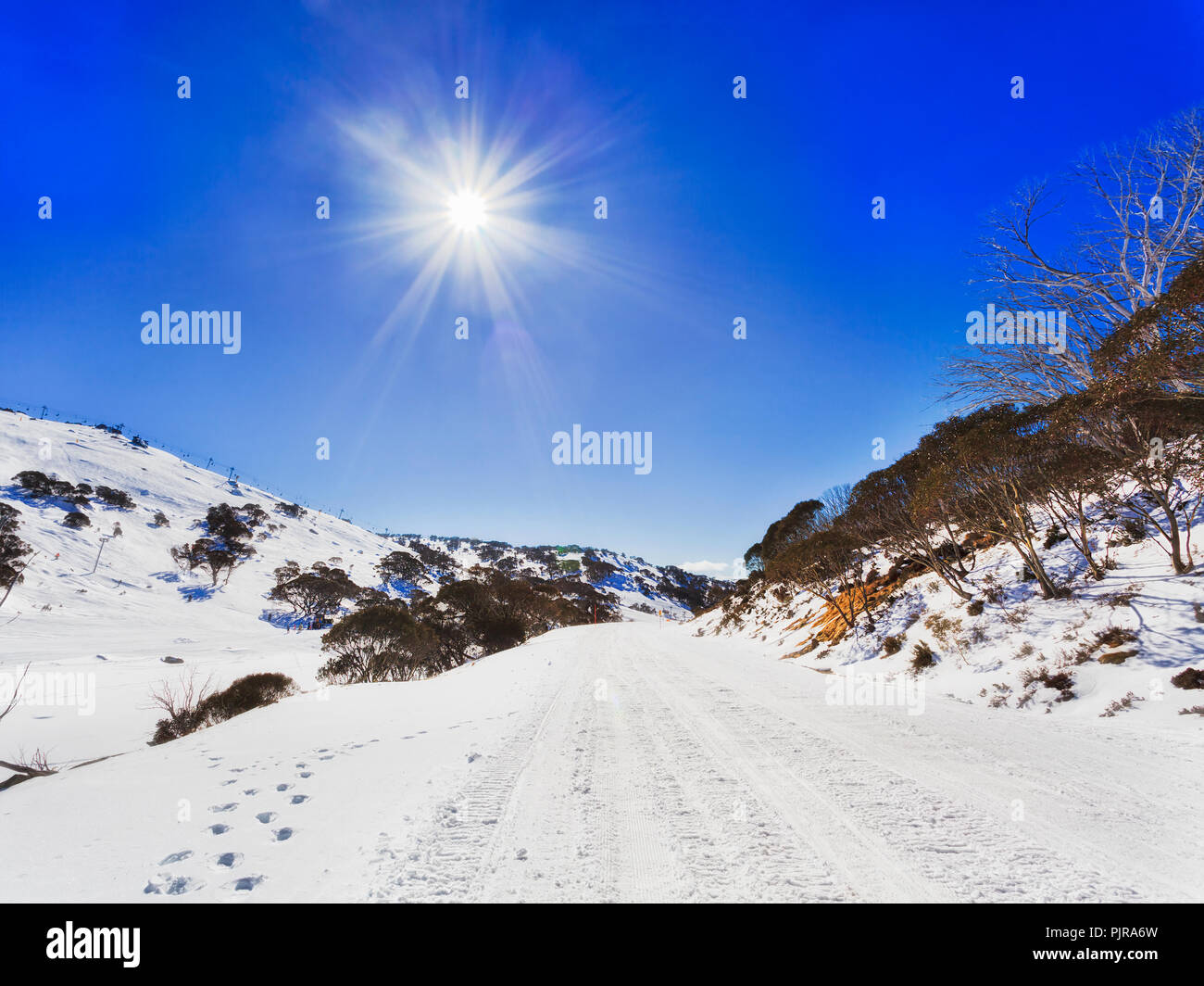 Coperta di neve strada in montagne innevate da Perisher valley a Charlotte pass adatto per motoslitte solo sotto il cielo blu con haze e sun circondato b Foto Stock