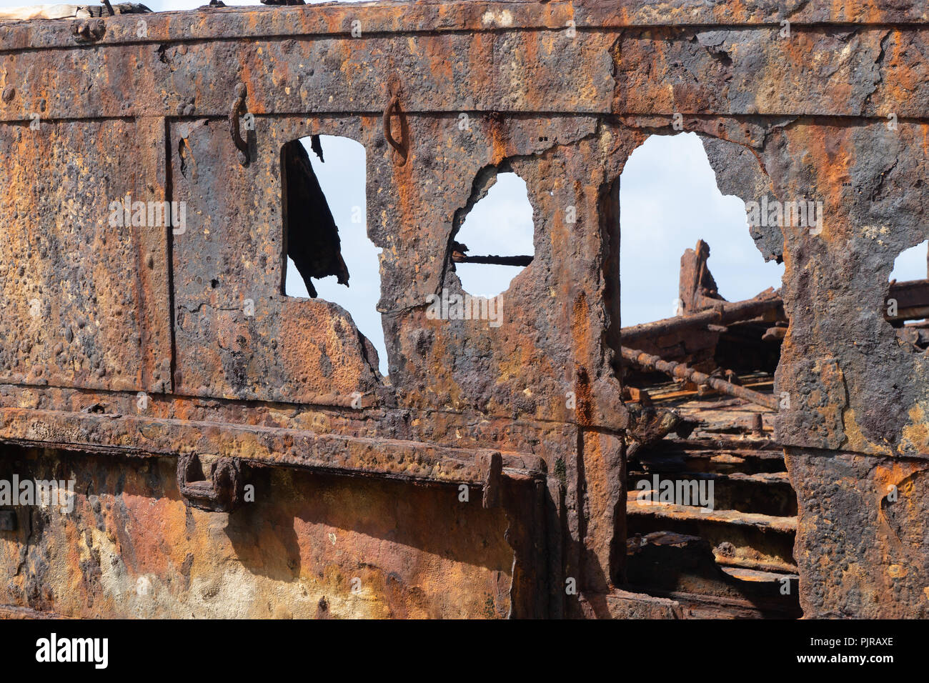 Naufragio su Fraser Island, in Australia, sprechi e stagionato Foto Stock