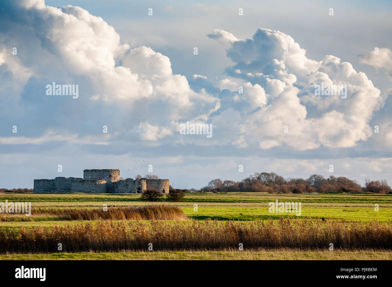 Castello di campanatura su livelli costieri nei pressi di segale in East Sussex Regno Unito - costruito per Henry VIII come difesa costiera ma ora un chilometro di navigazione Foto Stock