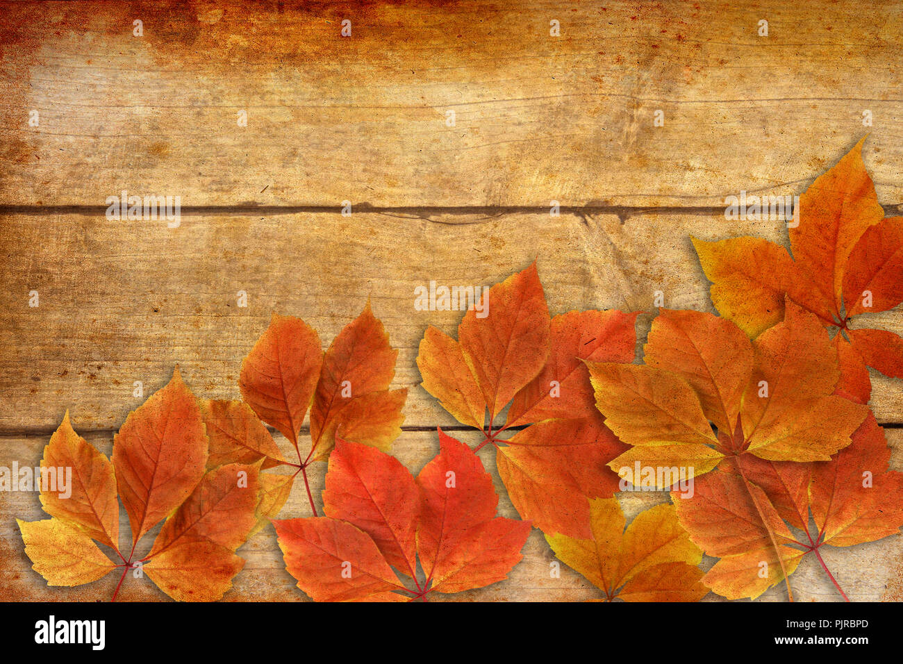 Rosso e giallo Foglie di autunno con sfondo di legno in stile vintage e spazio di copia Foto Stock