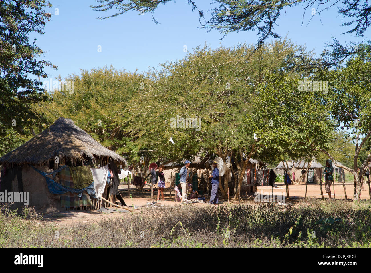 La vita in un villaggio san in Namibia, Africa Foto Stock