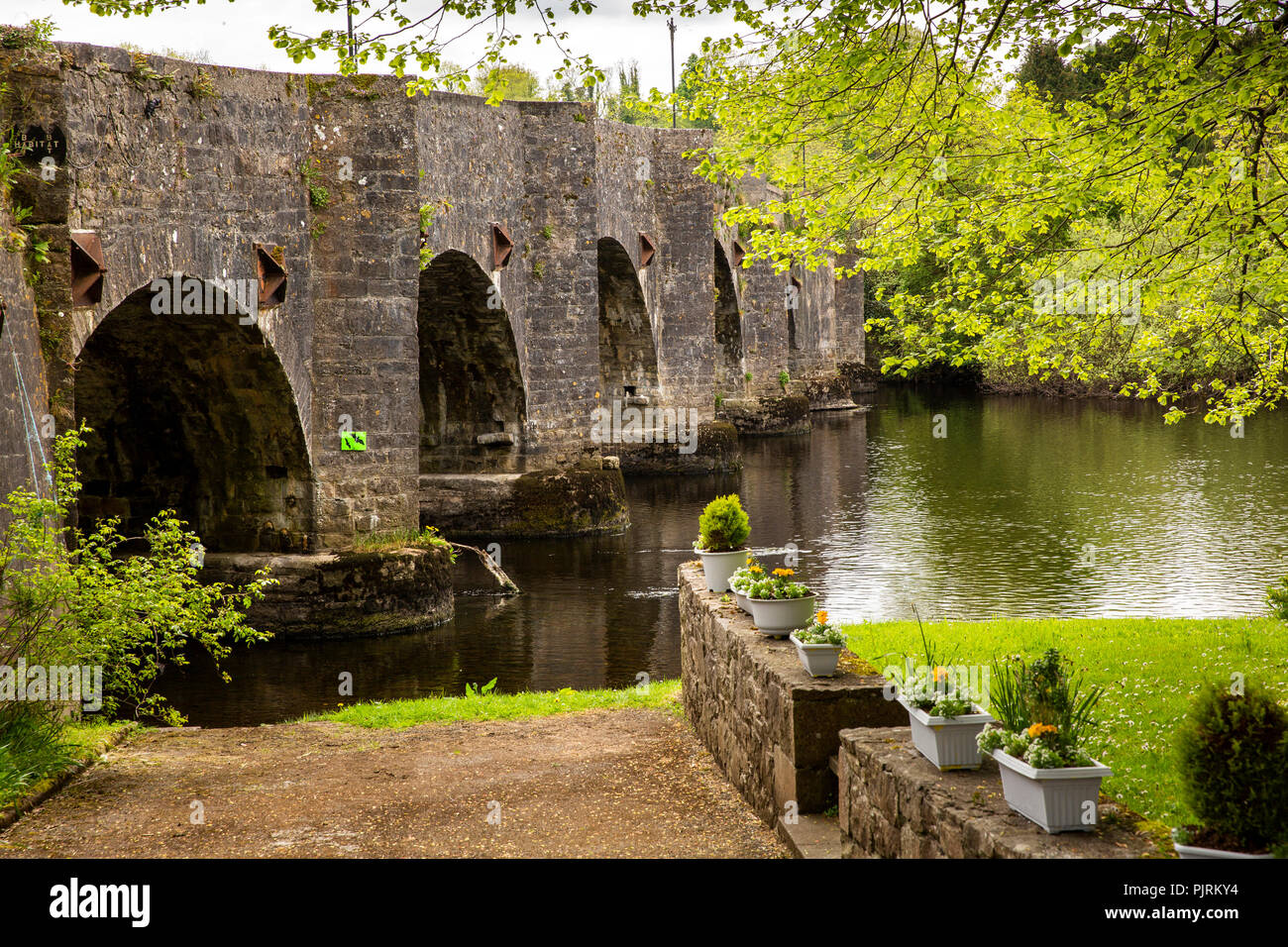 Irlanda, Co Leitrim, Drumsna, un antico ponte in pietra sul fiume Shannon riverside percorso a piedi Foto Stock