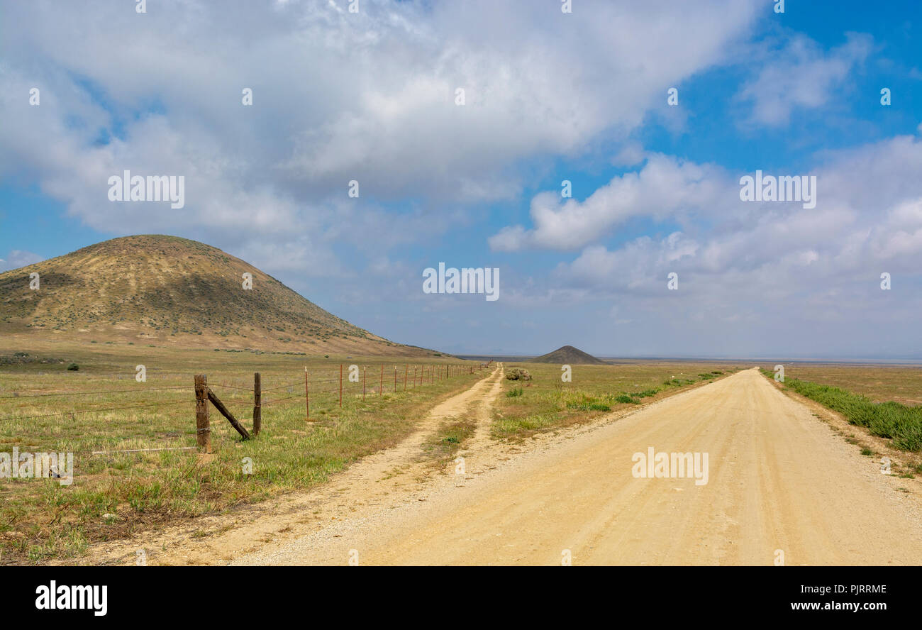 California, Carrizo Plain monumento nazionale, Soda Lake Road Foto Stock
