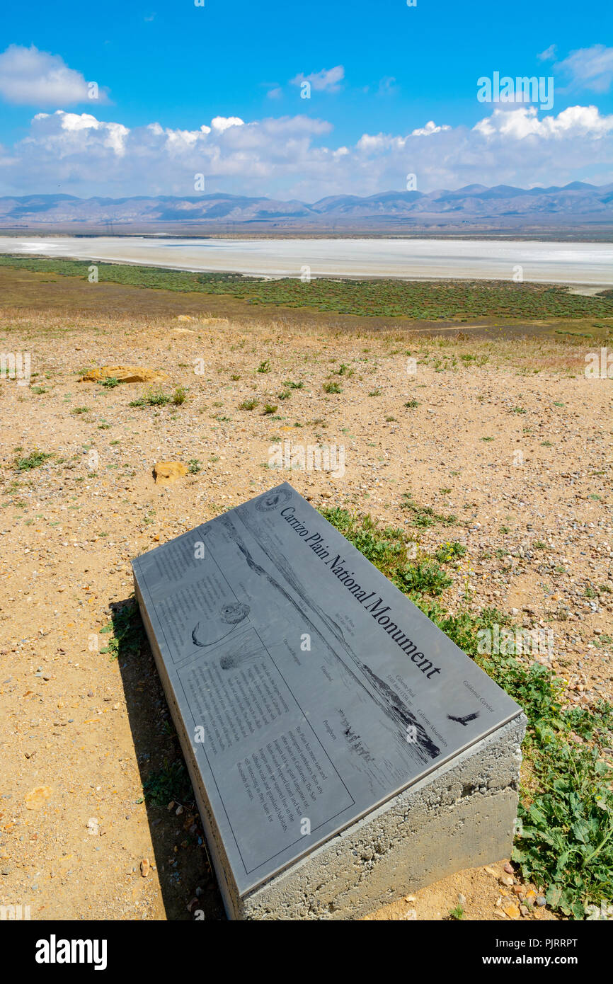 California, Carrizo Plain monumento nazionale, Soda si affacciano sul lago Foto Stock