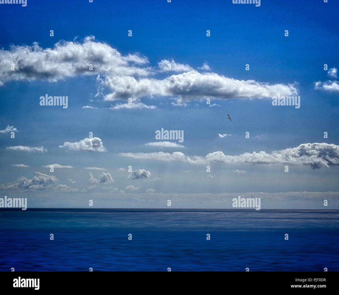 GB - DEVON: il mare (Torbay) Foto Stock