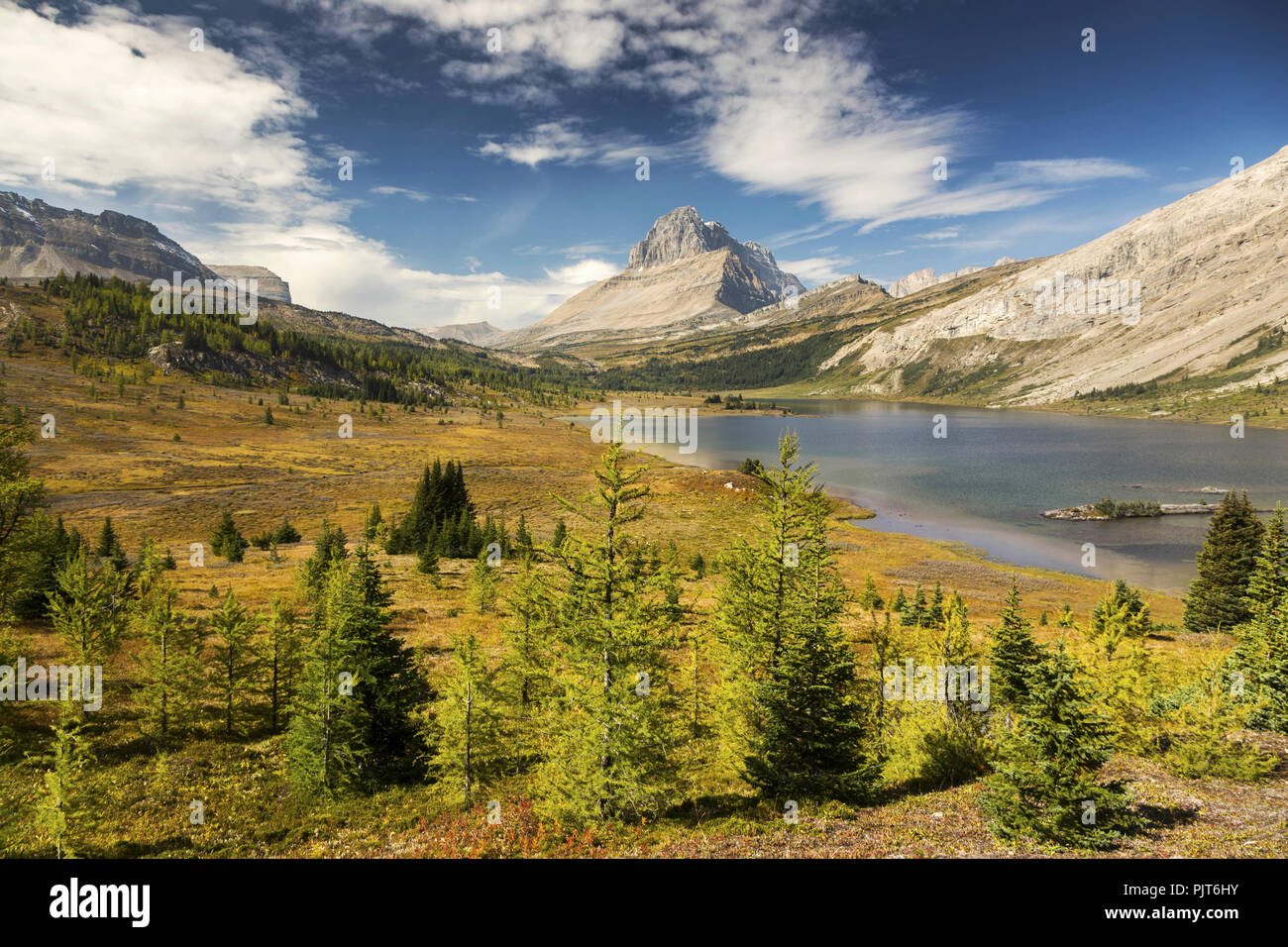 Green Alpine Meadows, Baker Lake Autumn Landscape, Distant Rocky Mountain Peaks Skyline. Escursione panoramica al Banff National Park, Montagne Rocciose canadesi Foto Stock