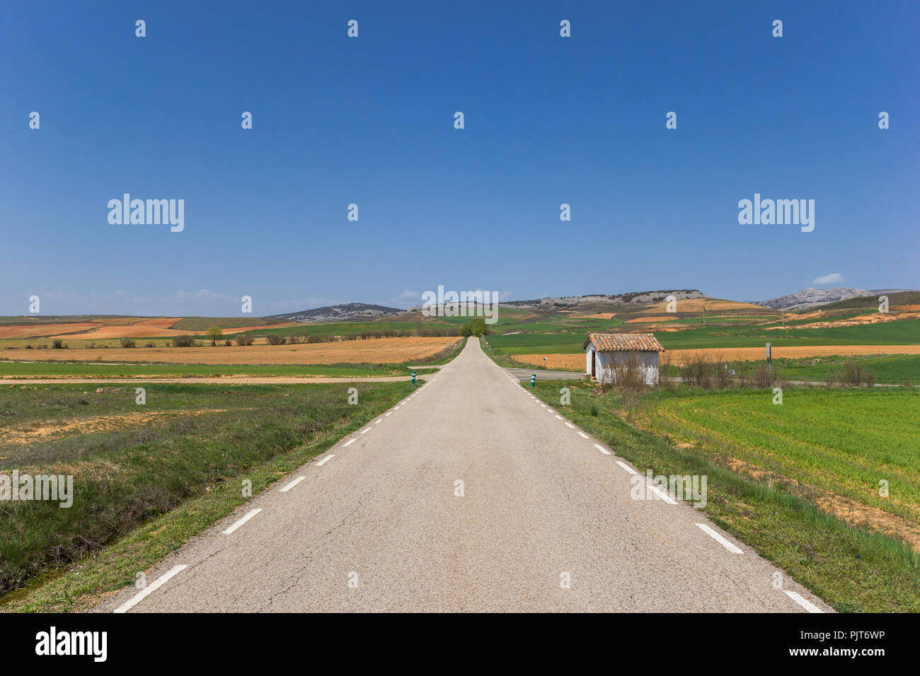 Strada diritta nel paesaggio di Castilla y Leon, Spagna Foto Stock