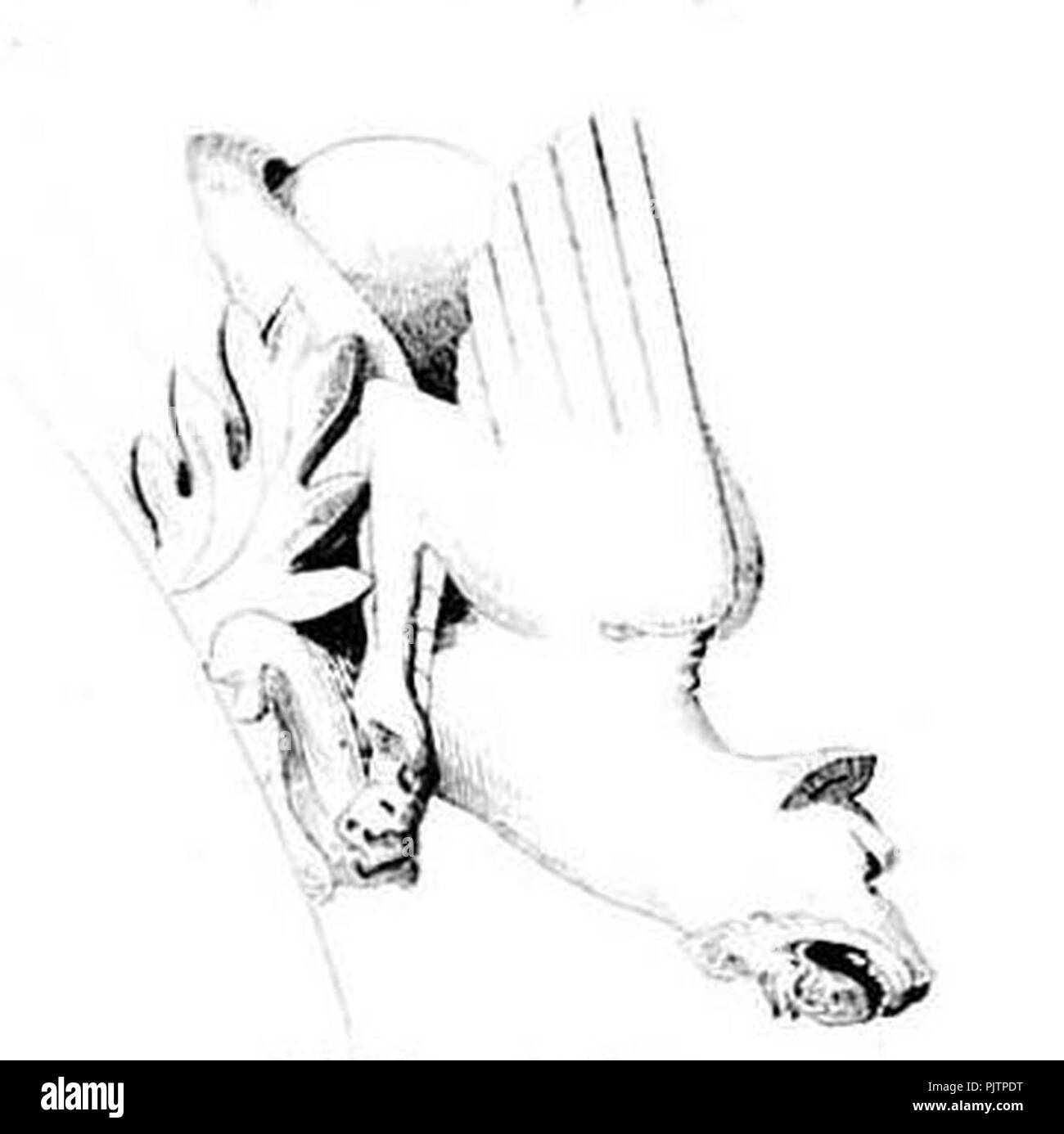 Basilique Saint-Denis scultura 9. Foto Stock