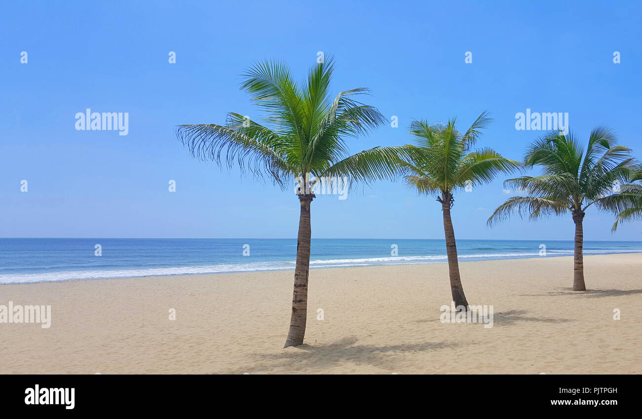Spiaggia con palme e cielo blu Foto Stock