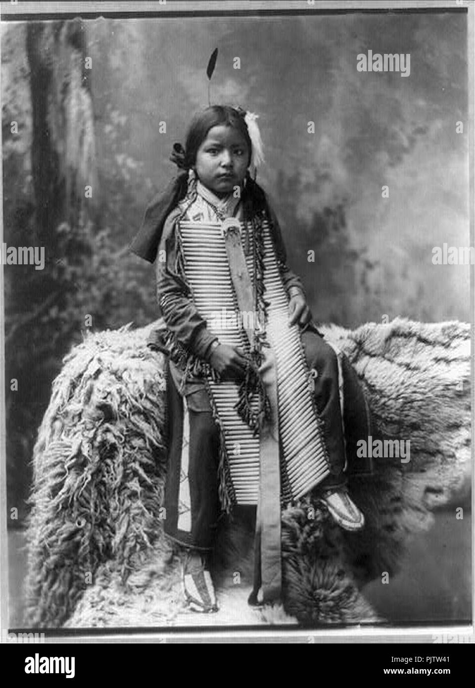 Battaglia nei boschi di intera lunghezza verticale, seduto, rivolta leggermente a destra Foto Stock