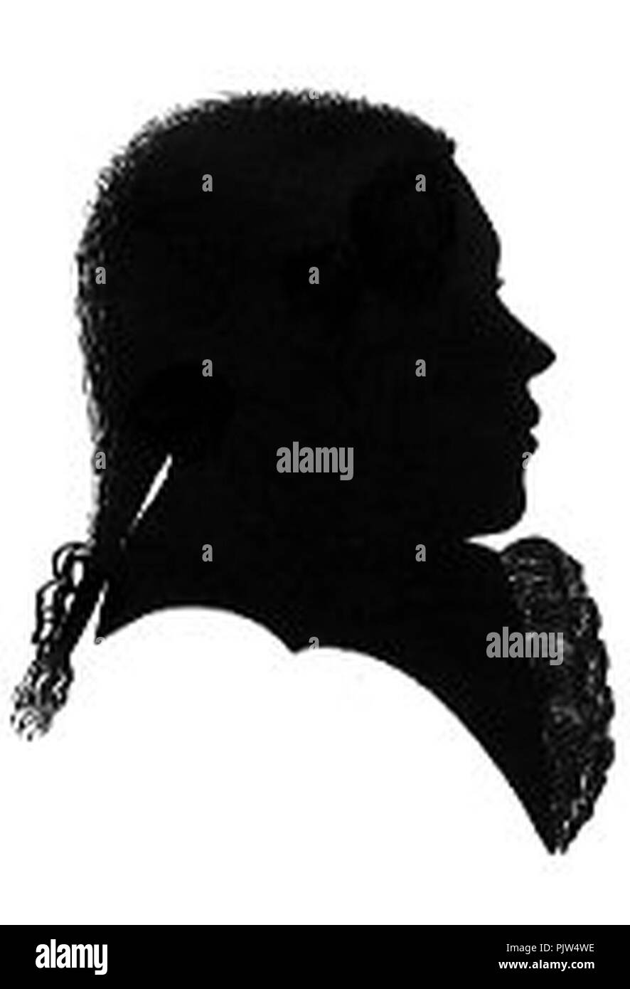 Beethoven 16 Silhouette. Foto Stock