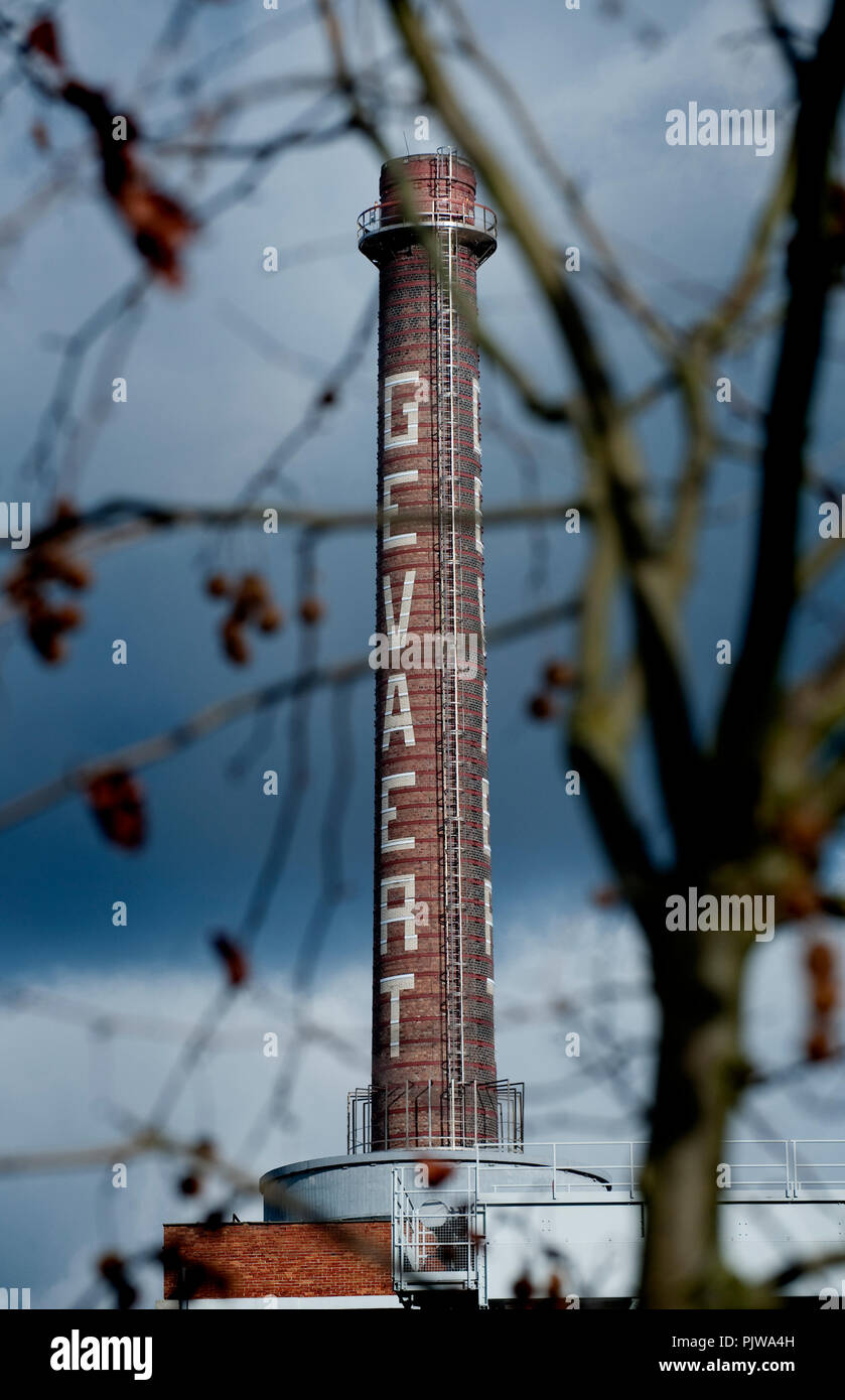 L'Agfa-Gevaert sede e stabilimento a Mortsel, Anversa (Belgio, 12/02/2009) Foto Stock