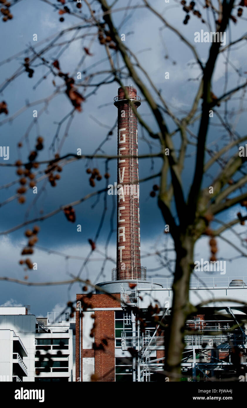 L'Agfa-Gevaert sede e stabilimento a Mortsel, Anversa (Belgio, 12/02/2009) Foto Stock