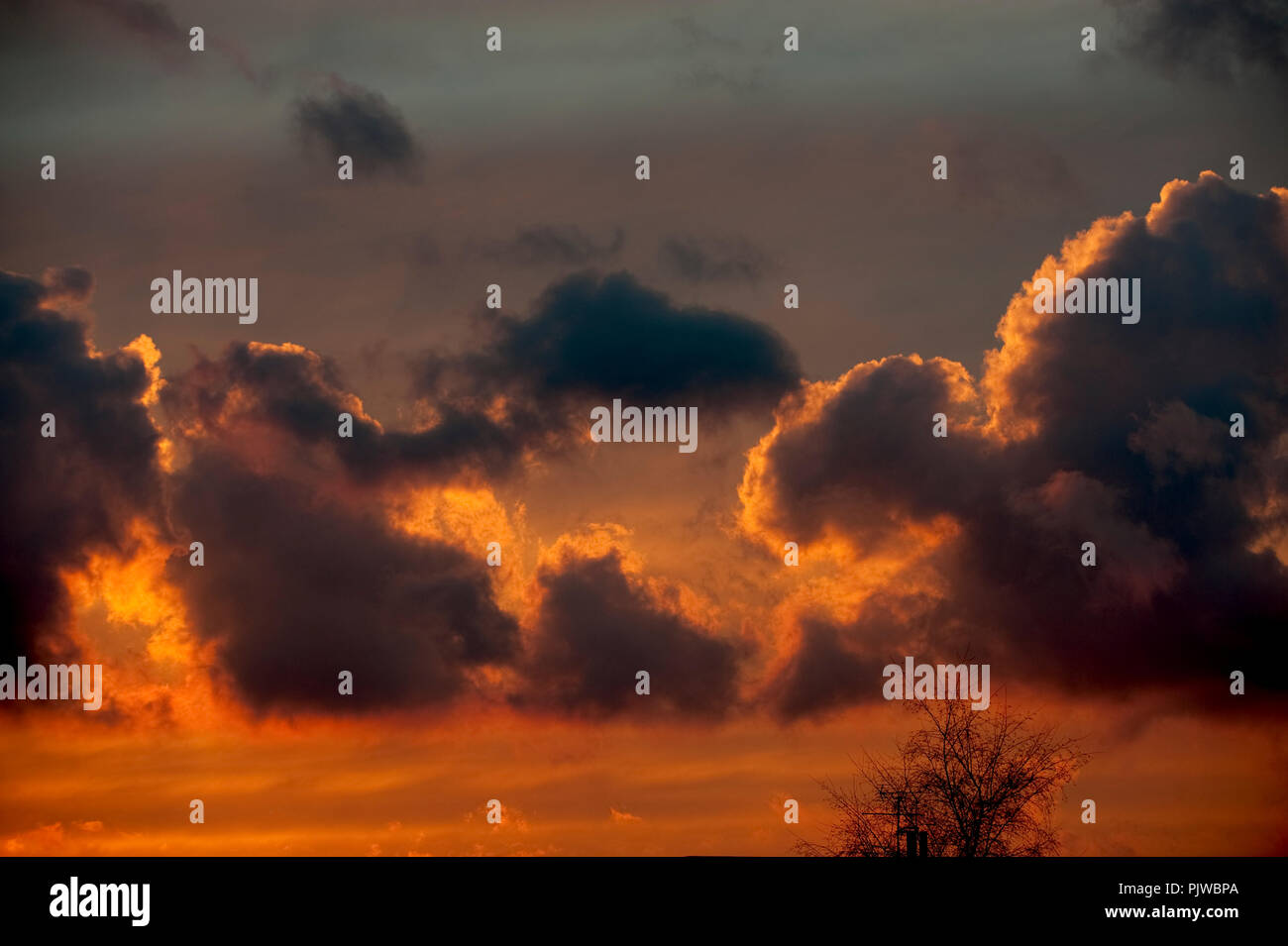 Un cielo d'oro e formazioni di nubi all'inizio della primavera (Belgio, 05/03/2009) Foto Stock