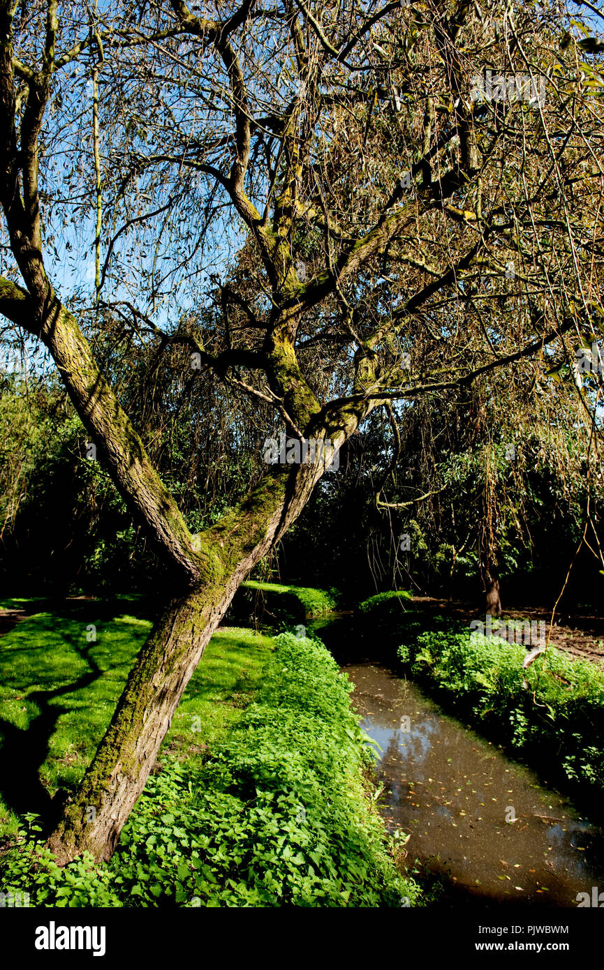 La Hof Ter Saksen castello e dominio di Beveren (Belgio, 14/09/2008) Foto Stock