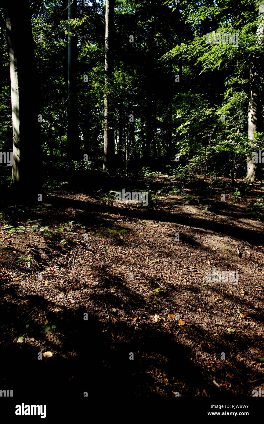 La Hof Ter Saksen castello e dominio di Beveren (Belgio, 14/09/2008) Foto Stock