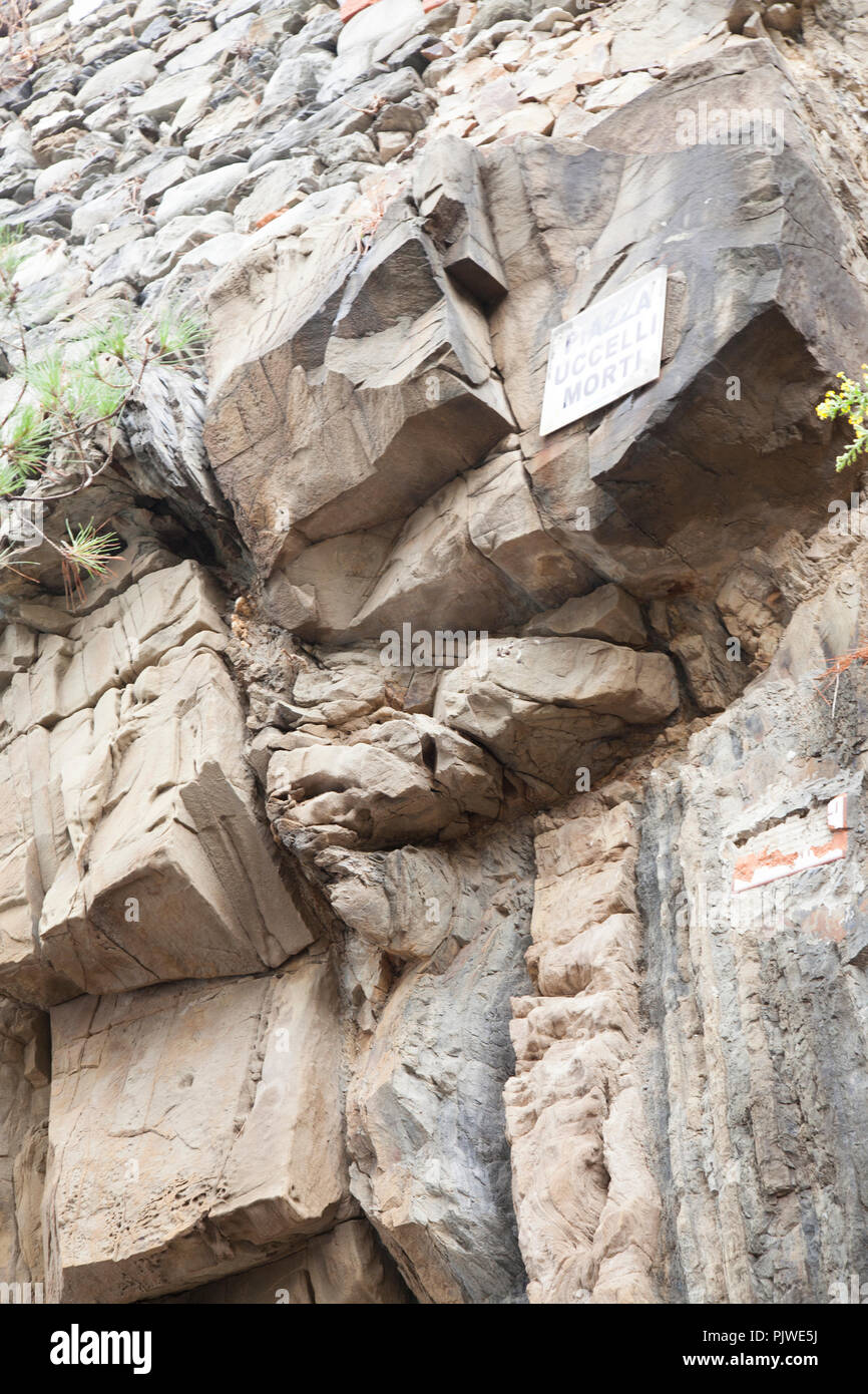 Quadrato di uccelli morti signin Manarola Italia Foto Stock Quadrato di uccelli morti signin Manarola Italia Foto Stock