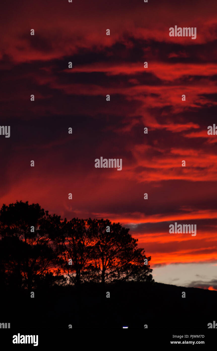 Gumtrees stagliano contro un rosso sangue nel cielo le montagne nevose regione, australia Foto Stock