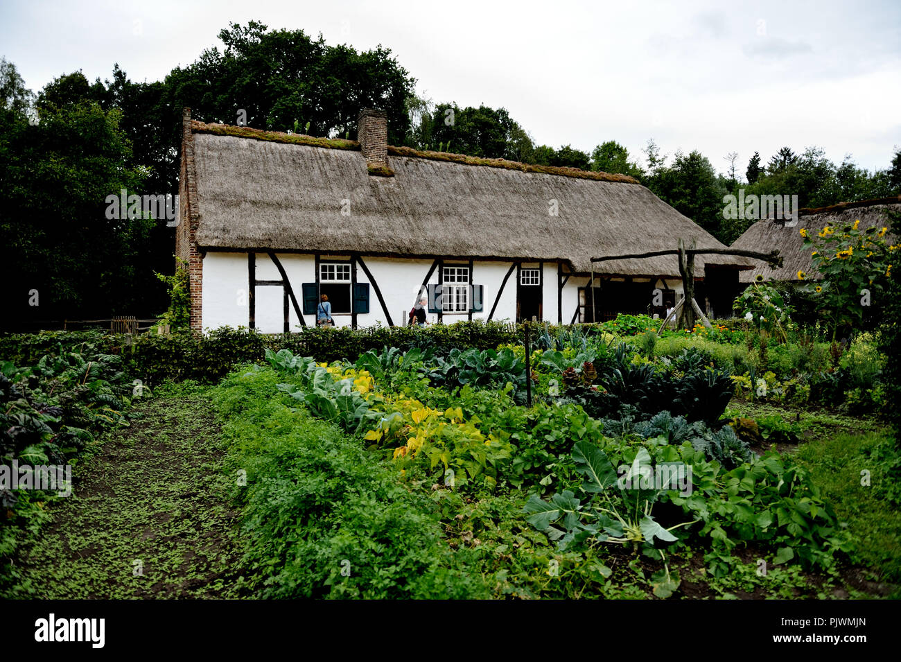 Il Bokrijk open air museum di Genk (Belgio, 24/08/2008) Foto Stock