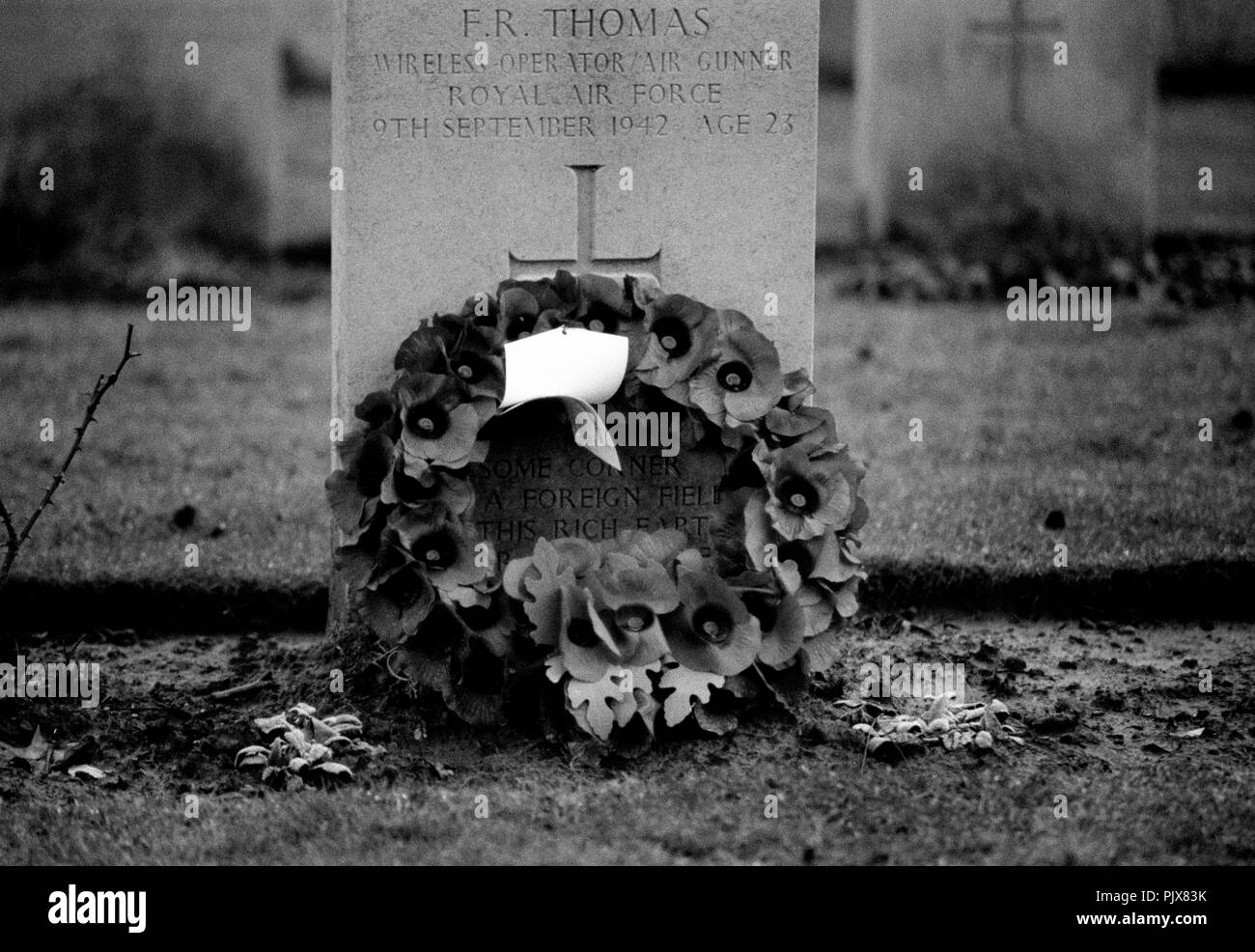 Il Britannico cimitero militare in Heverlee vicino a Leuven per i soldati britannici della seconda guerra mondiale (Belgio, 02/1993) Foto Stock