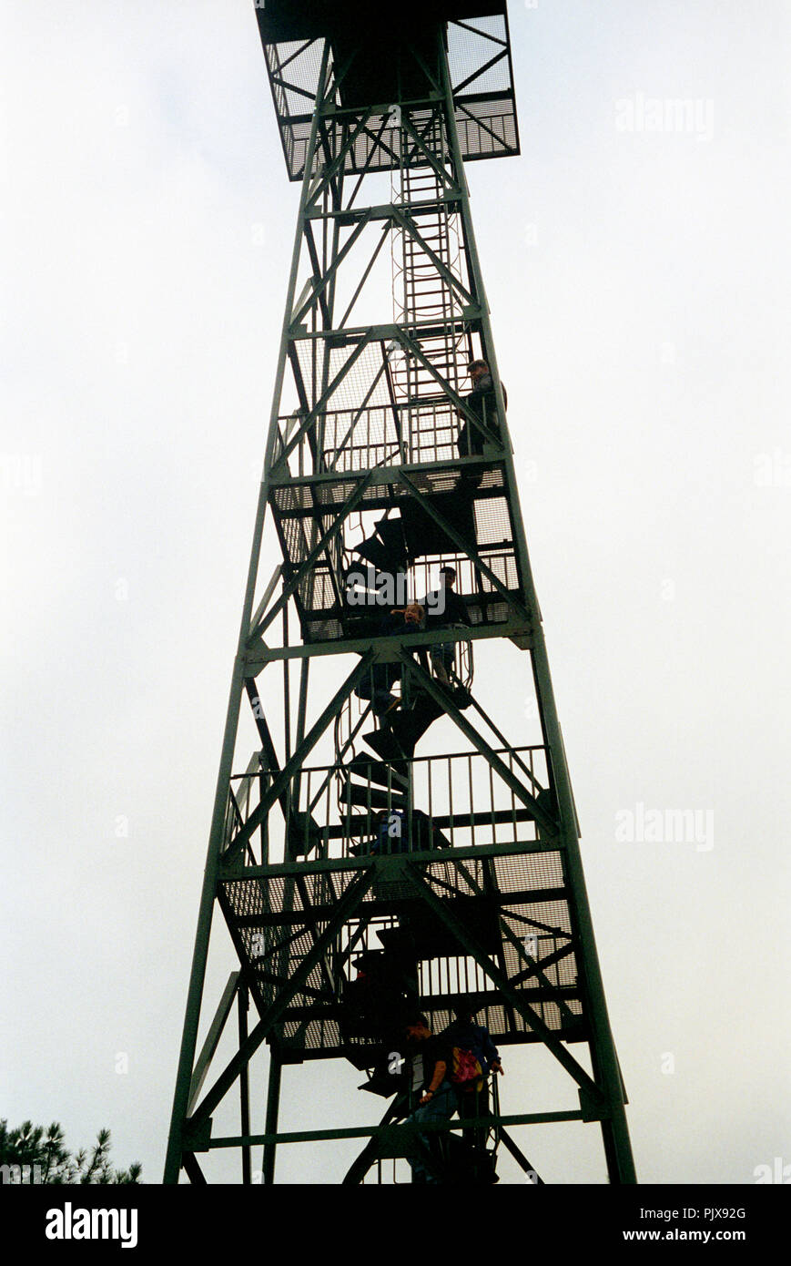 Impressioni del paesaggio del parco di confine De Zoom - Kalmthoutse Heide (Belgio, 1992) Foto Stock