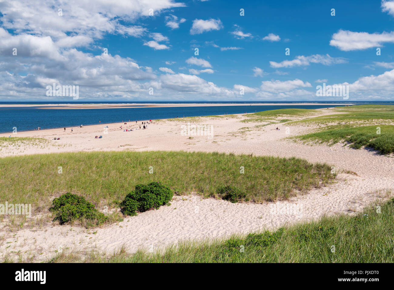 Spiaggia di Cape Cod Foto Stock